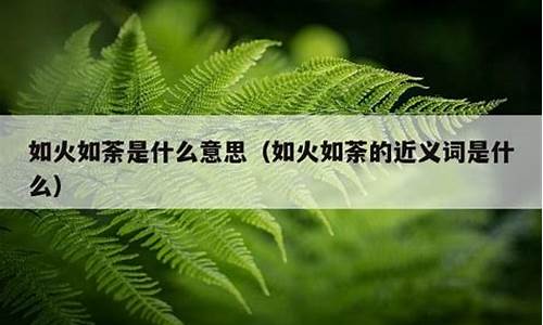 如火如荼的荼是什么意思呢-如火如荼的荼是