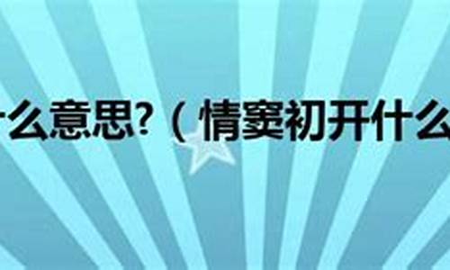 情窦初开是什么意思的时候没有什么值不值得-情窦初开是什么意思